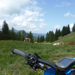 2014_06_fockenstein_bild_2