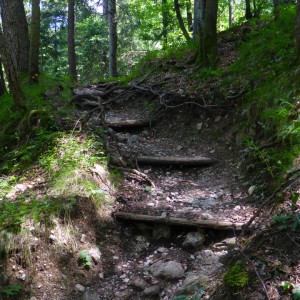 2014_06_fockenstein_bild_5