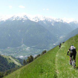 2014_06_latsch_bild_3.1