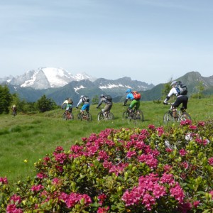 2014_07_grosse_acht_bild_7.4