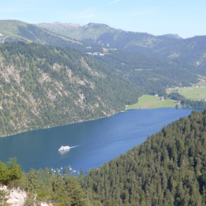 2014_07_steinernestor_bild_1