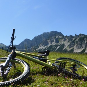 2014_07_steinernestor_bild_2