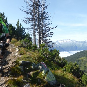 2014_08_wildkogel_bild_2.4