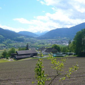 2013_05_pfalzen_bild_3 2013_05_pfalzen_bild_3