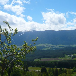 2013_05_pfalzen_bild_4 2013_05_pfalzen_bild_4