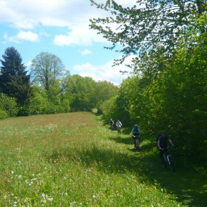 2013_05_pfalzen_bild_5 2013_05_pfalzen_bild_5