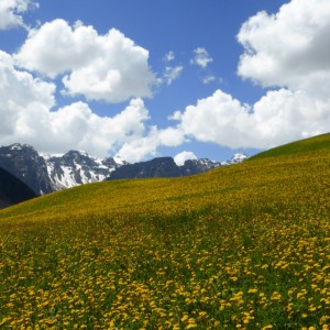 2013_06_badia_bild_1.1