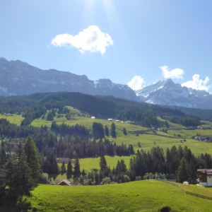 2013_06_badia_bild_2.2