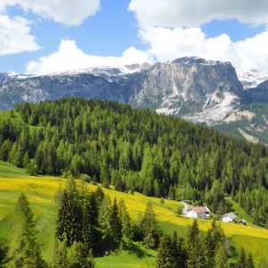 2013_06_badia_bild_3.2