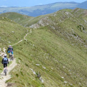 2013_07_badia_bild_1.3 2013_07_badia_bild_1.3