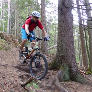 2013_07_badia_bild_1.5 2013_07_badia_bild_1.5