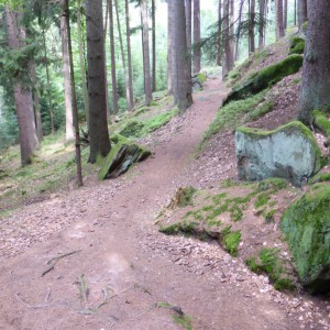 2013_08_felsenwanderweg_bild_4 2013_08_felsenwanderweg_bild_4