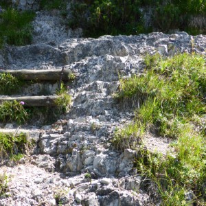 2013_08_heimgarten_bild_5