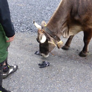 2013_09_intothesky_bild_3.5 2013_09_intothesky_bild_3.5