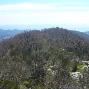 ligurien_2013_bild_1.3