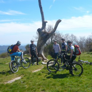 ligurien_2013_bild_1.4