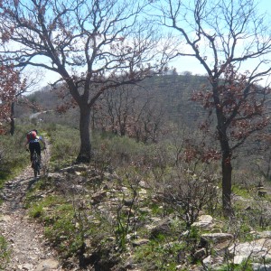 ligurien_2013_bild_1.5