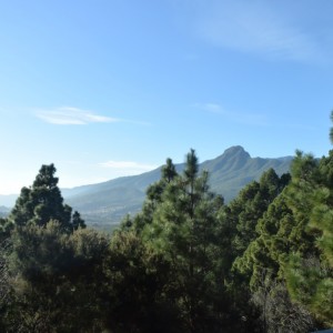 2015_03_lapalma_bild_0.3