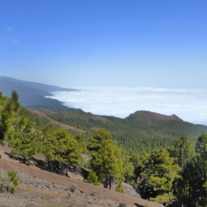 2015_03_lapalma_bild_1.2