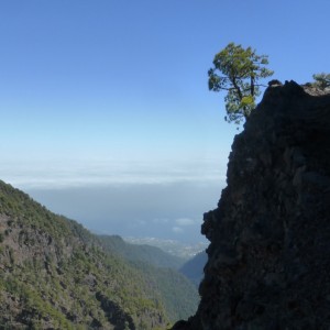 2015_03_lapalma_bild_2.3