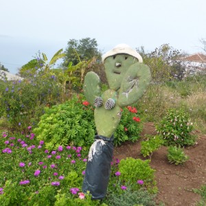 2015_03_lapalma_bild_4.1