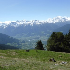 2015_05_Vinschgau_Bild_4.3