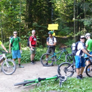 2015_08_Baumgartenschneid_Bild_1