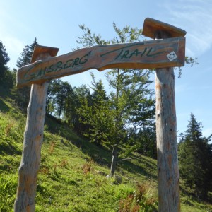 2015_08_Wildkogel_Bild_1.5