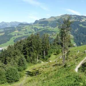 2015_08_Wildkogel_Bild_1.6
