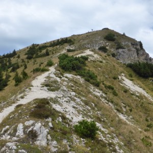 2015_09_kienjoch_bild_4