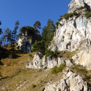 2015_10_stepberg_bild_6 2015_10_stepberg_bild_6