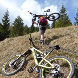 2016_04_voldoepper_bild_2 2016_04_voldoepper_bild_2