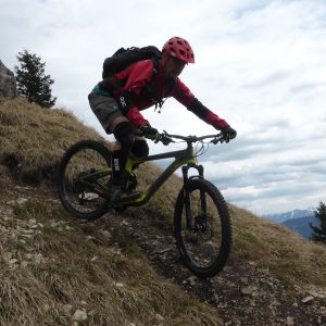 2016_04_voldoepper_bild_4 2016_04_voldoepper_bild_4