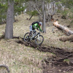 2016_04_voldoepper_bild_5 2016_04_voldoepper_bild_5