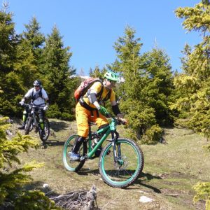 2016_05_stanstrails_bild_5 2016_05_stanstrails_bild_5