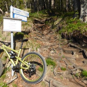 2016_05_ziegelspitz_bild_1