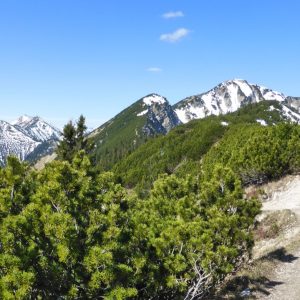 2016_05_ziegelspitz_bild_5