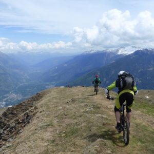 2016_05_Vinschgau_Bild_2.4 2016_05_Vinschgau_Bild_2.4