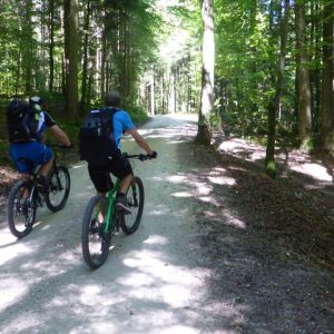 2016_06_feuerkopf_Bild_1 2016_06_feuerkopf_Bild_1