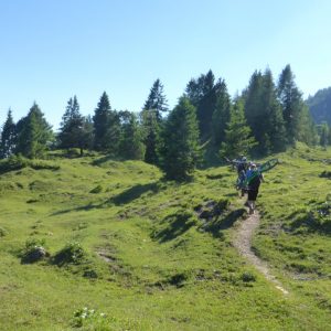 2016_06_feuerkopf_Bild_3 2016_06_feuerkopf_Bild_3