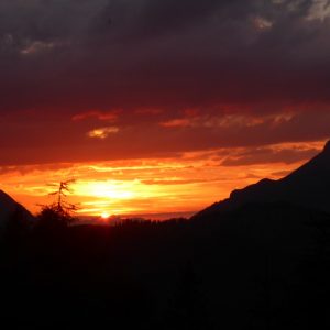 2016_07_voldoepper_bild_4