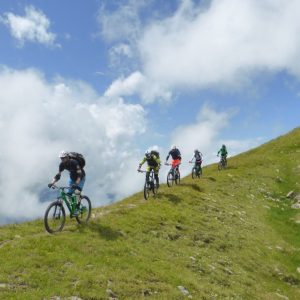 2016_07_wildkogel_bild_1-6 2016_07_wildkogel_bild_1-6