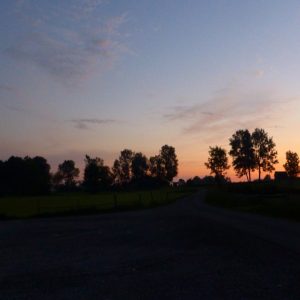 2016_08_heimgarten_bild_1 2016_08_heimgarten_bild_1