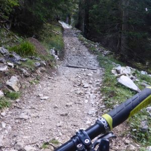 2016_08_heimgarten_bild_2 2016_08_heimgarten_bild_2