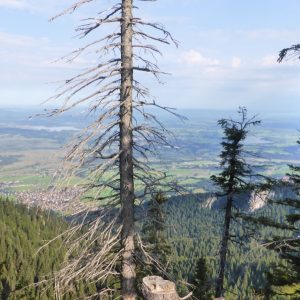 2016_08_heimgarten_bild_3 2016_08_heimgarten_bild_3