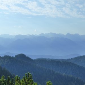 2016_08_heimgarten_bild_4 2016_08_heimgarten_bild_4