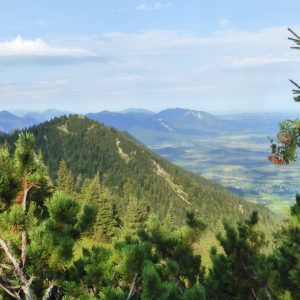 2016_08_heimgarten_bild_5 2016_08_heimgarten_bild_5