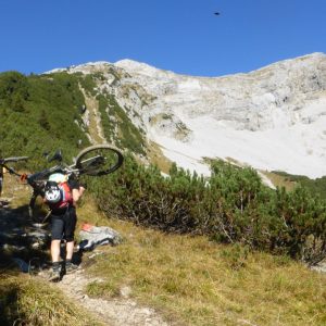 2016_10_daniel_bild_1 2016_10_daniel_bild_1