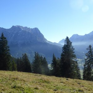 2016_10_daniel_bild_2 2016_10_daniel_bild_2