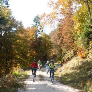 2016_10_feuerkopf_bild_1 2016_10_feuerkopf_bild_1